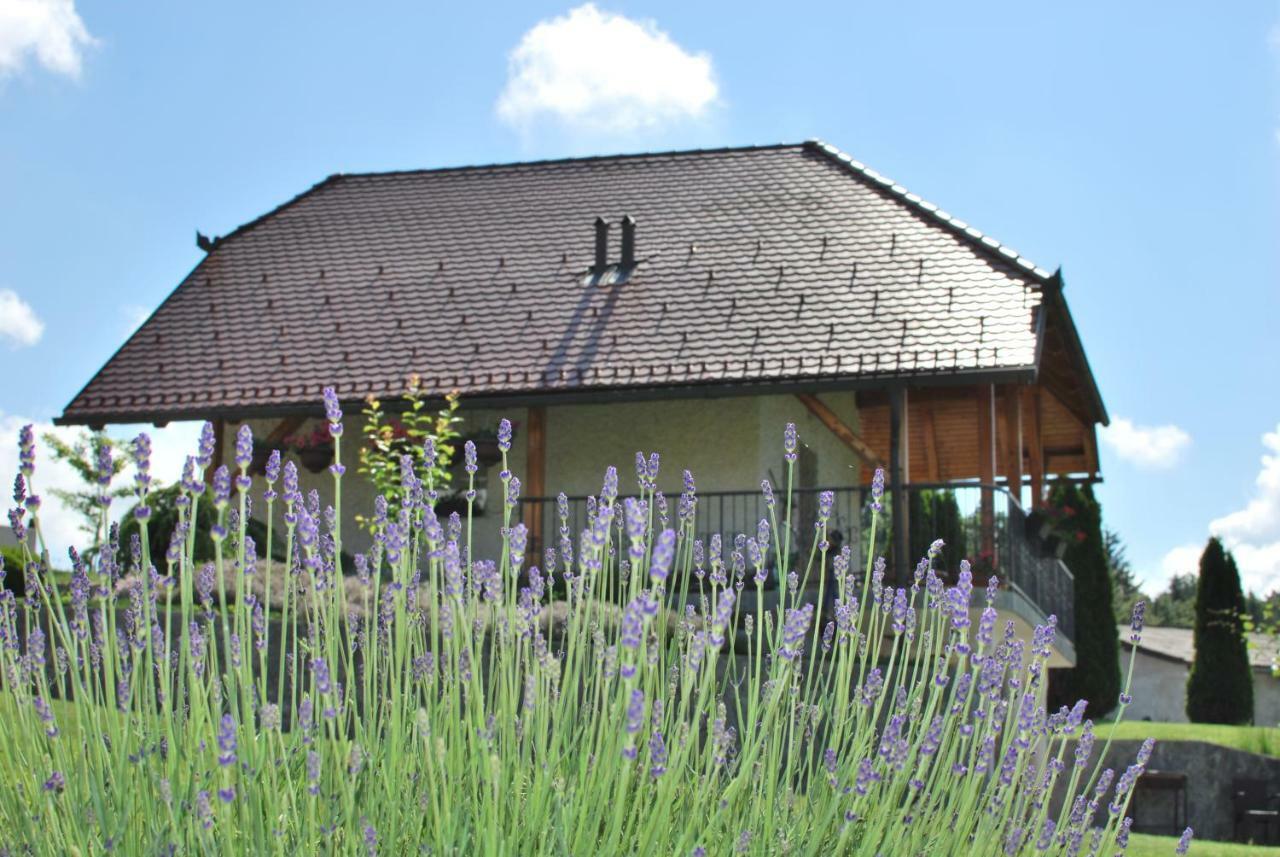 Holiday Home Dobrotin Vojnik Exterior photo