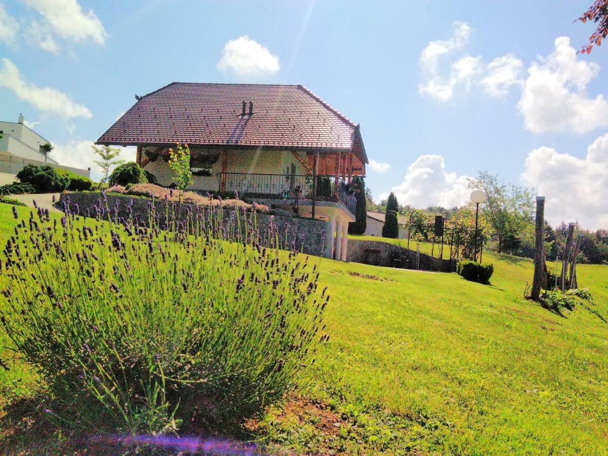 Holiday Home Dobrotin Vojnik Exterior photo